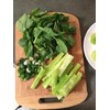 TomorrowSeeds - Summer 38 Celtuce (Stem Lettuce) Seeds - 1500+