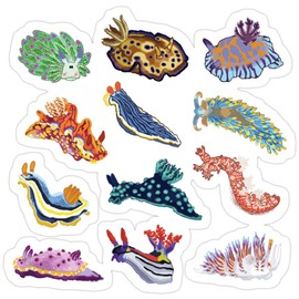 3 PCs Stickers Nudie Cuties, sea slug Sticker for Laptop, Phone, Cars, Vinyl Funny Stickers Decal for Laptops, Guitar, Fridge