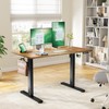 Marsail Electric Standing Desk with One-Piece Desktop,48 x 30 inch