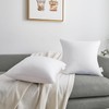 Oubonun 28 x 28 Euro Pillow Inserts with 100% Cotton
