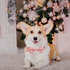 ADOGGYGO Christmas Dog Collar with Bowtie, Pink Dog Christmas Collars with Detachable Bow, Adjustable Christmas Pet Collars for Small Medium Large Dogs Pets (Medium, Christmas)