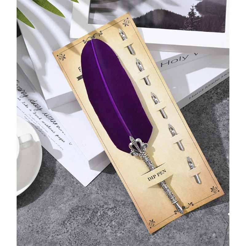 Gullor Calligraphy Feather Quill Pen and 5 Calligraphy Nibs for