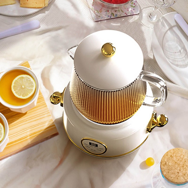 Health Pot Stainless Steel Glass Multifunctional Mini Electric Tea Maker
