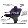 Service Dog in Training Harness with Removable Saddle Bag Dogs