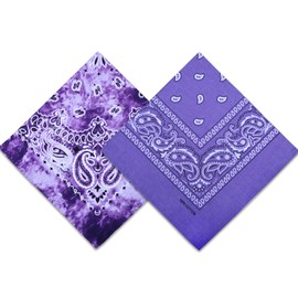 2 Pack Types of Paisley Pattern Bandanas, 22x22 Inches Cotton Bandanas Handkerchief Face Mask for Men & Women (Purple-2 Pack)