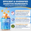 Digestive Enzymes with Probiotic Gummies, Multivitamins, Calcium, Magnesium - All