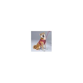 BYC Pet Supply for dogs, cats and daily pet care, pet care accessory or treat, BYC Korean Import, Pet Care Essential, pet care, Option 3