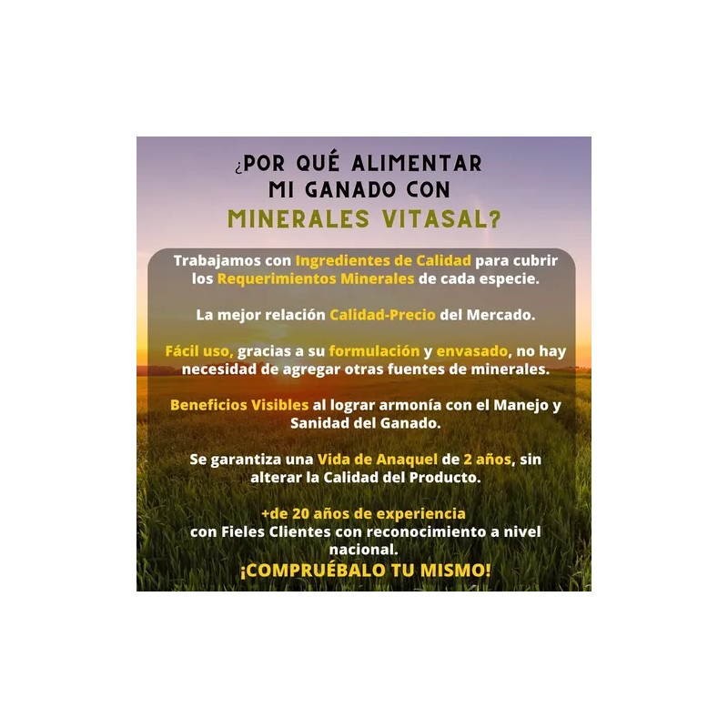 Sal Mineral Plus Para Caballo Vitasal Plus 20 Kilos.