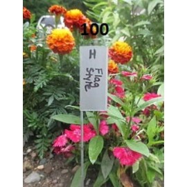Paw Paw Everlast Label Company Flag Style Plant Labels, garden markers, plant markers, garden labels