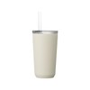 KINTO 20241 Two-Go Tumbler with Straw, 16.2 fl oz (480