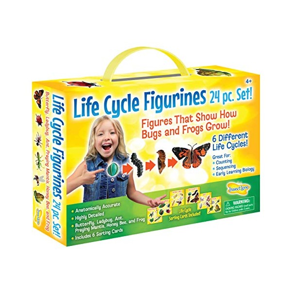 Insect Lore Life Cycle Figurines 24 Pc Set