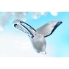 Whale Tail Blue Opal & Clear Cubic Zirconia Line Embellished