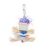Prevue Pet Products Forage & Engage Dessert Delights Bird Toy