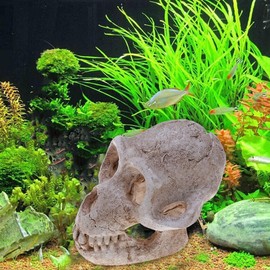 2 pcs Aquarium Skull Reptile Tank Ornament Emulational Skeleton Bone Skull Decoration Fish Tank Reptile Hideout Size