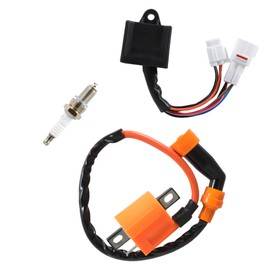 WFLNHB Ignition Coil Spark Plug CDI Replacement for Yamaha Timberwolf 250 1994-2000 / Replacement for Yamaha Bear Tracker 250 1999-2000 4BD-85540-10-00