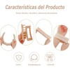 GeorgeX: 4 diademas de esponja y 2 muñequeras para maquillaje