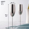 Oak & Steel - 2 Silver Champagne Flutes, 280ml -