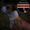 TagME Reflective Nylon Dog Collars, Adjustable Classic Pet Collar with