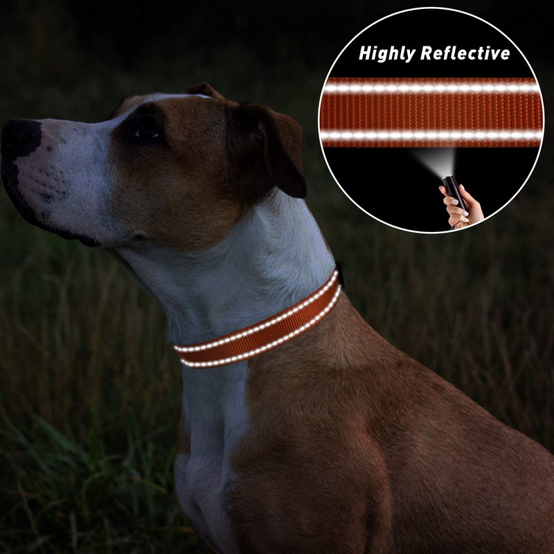 TagME Reflective Nylon Dog Collars, Adjustable Classic Pet Collar with