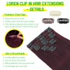 LORIEN Clip in Hair Extensions Real Human Hair, 14 Inch