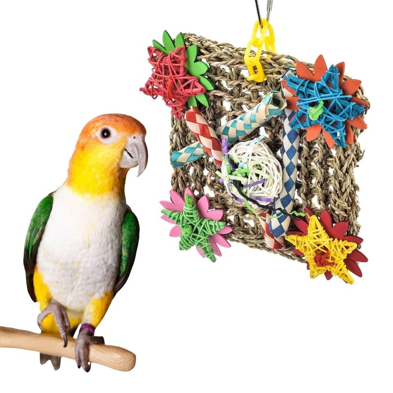 Wall of Plenty Foraging Activity Wall Natural Parrot Toy -