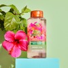 Tree Hut Foaming Gel Wash Pink Hibiscus 532ml / 트리헛