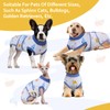 FUAMEY Recovery Suit for Dogs After Surgery,Soft Breathable Dog Bodysuit