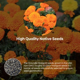 Groundio Marigold Seeds, 1 OZ, Heirloom Marigold Flower Seeds for Planting Indoor & Outdoor, Wildflower Attract Pollinators, Grown in The USA | Yellow, Orange