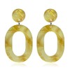 RofYof Acrylic Earrings Statement Tortoise Shell Hoop Earrings Resin Acetate