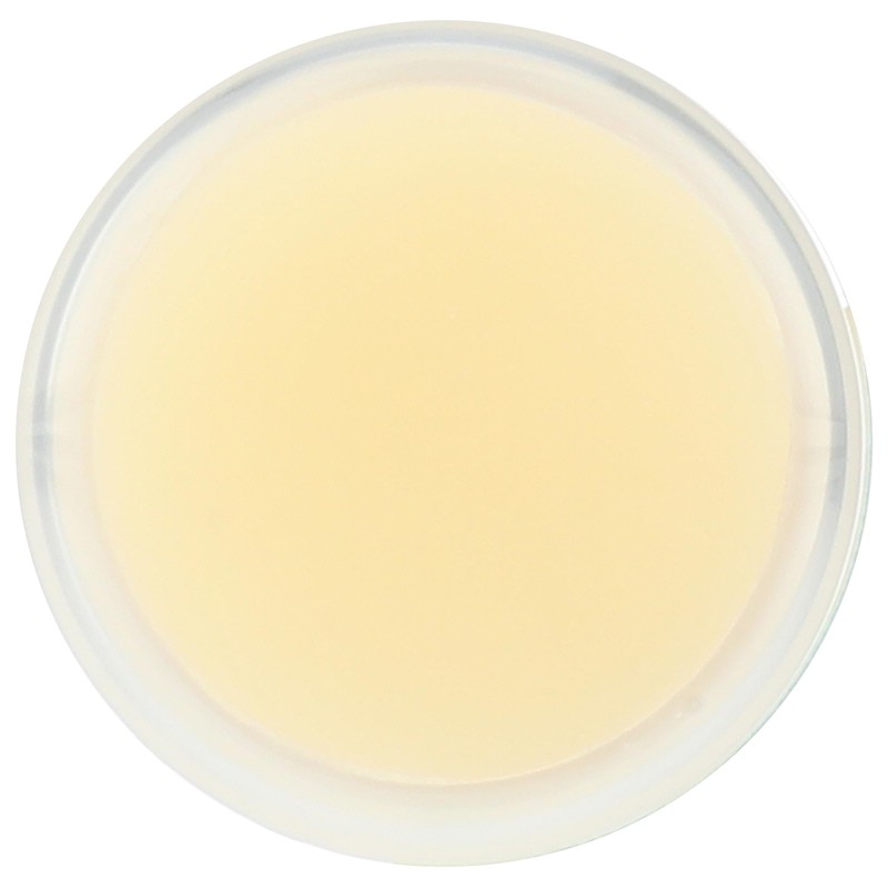 Zum Kiss Sticks, Peppermint