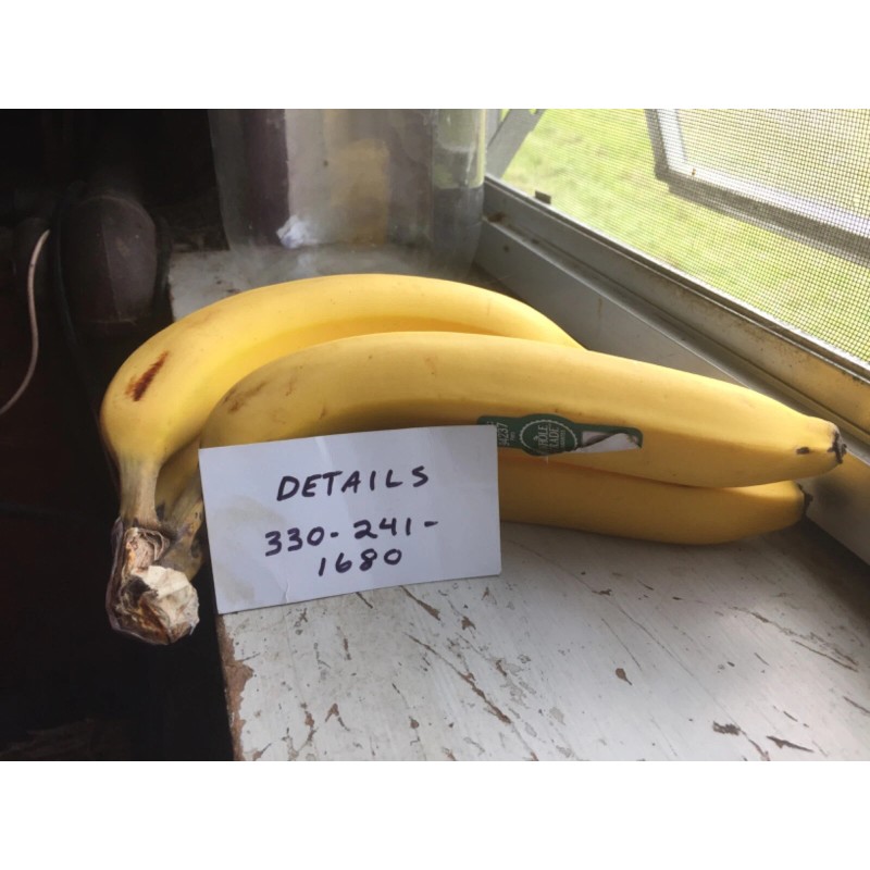 Watts Flow-Pro FPMB-BB1-10 Melt Blown Sediment Filter Cartridge - 1