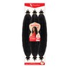 Outre Crochet Braids X-Pression Twisted Up 3X Springy Afro Twist