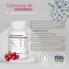 Extracto Arandano Capsulas 600mg Nin