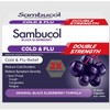 Sambucol Buy Sambucol Double Strength Cold and Flu Relief Online