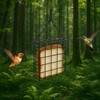 2 Pcs Suet Feeder, Large Capacity Suet Bird Feeder with