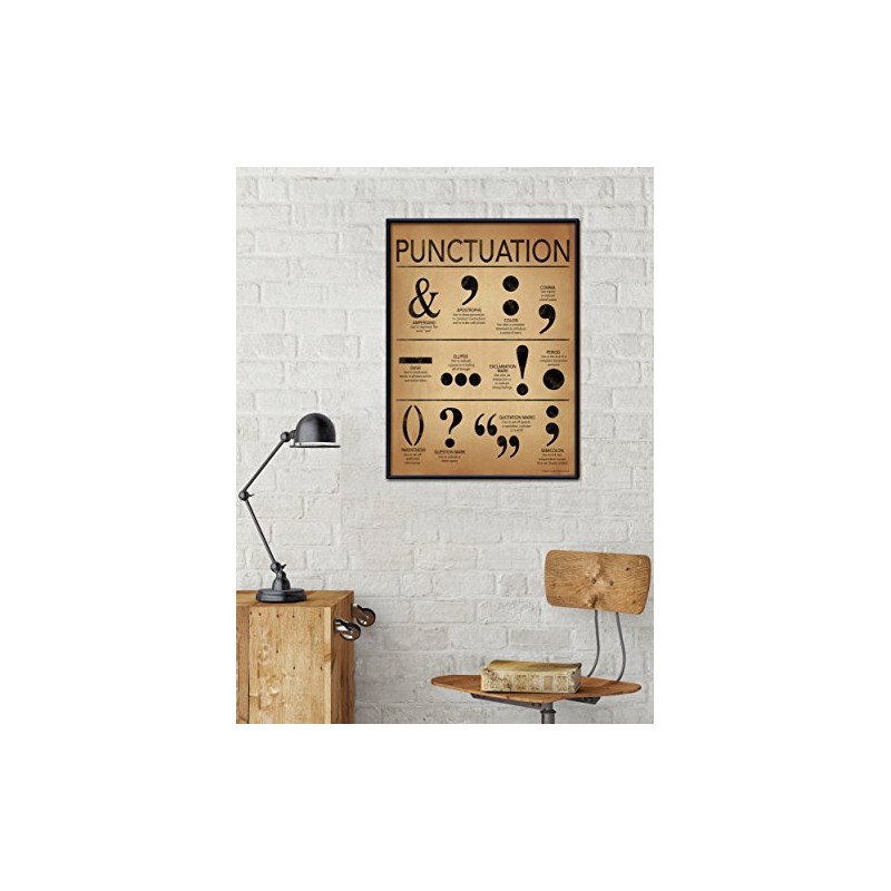 ECHO-LIT, LLC Punctuation Writing and Grammar Poster for Home, Office,