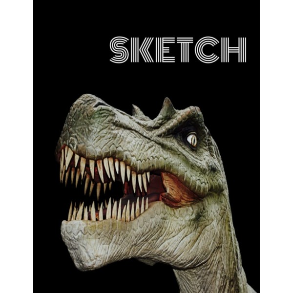 Dinosaur Sketchbook: Doodle pad, sketchpad, drawing book. Large 8.5x11, 110