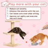 Jyeennar 1 Pack 2 in 1 LED Pointer Cat Toys,Funny