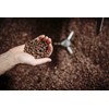 Medium-Dark Roast Low-Acid Italian Roast Coffee, Delicia 12oz Whole Bean