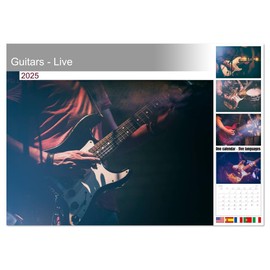 Guitars - Live (Monthly Wall Calendar 2025 16.5" x 23.4" (open)), CALVENDO 14 Month Calendar