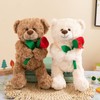 Wgxzyq Teddy Bear Stuffed Animal with Rose, Soft Cuddly Stuffed