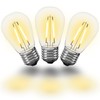 Novelty Lights Outdoor String Light Dual-Filament Replacement Bulbs, 25 Pack