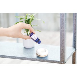 Global Product Planning Blue Label Aroma Essence 8ml (x1)