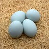 Eggcetera Ceramic Nest Eggs 4-Pack (Ameraucana)