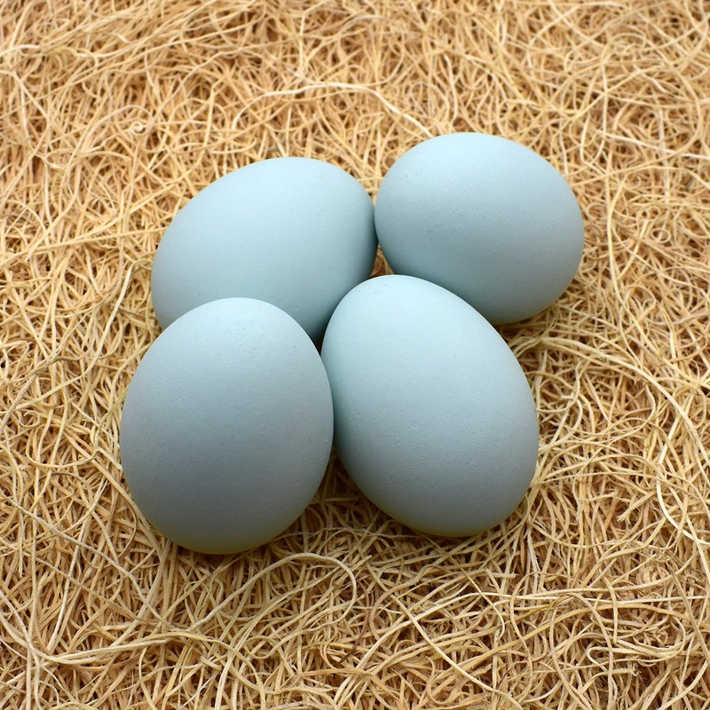 Eggcetera Ceramic Nest Eggs 4-Pack (Ameraucana)