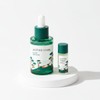 round wrap [Intensive Soothing] Round Lab Pine Soothing Cica Ampoule