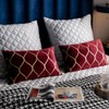DEZENE Gold Velvet Throw Pillow Covers: 2 Pack 12x20 Inch