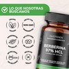 Quotidien | Berberina HCL 97% | 500mg de Berberina Clorhidrato,