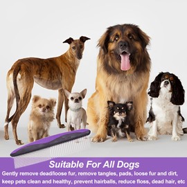 Parthan Dog Comb Cat Comb Dog Combs for Grooming with Stainless Steel Teeth and Rubber Non-Slip Handle for Removing Tangles and Knots of Fur for Large, Medium, Small Dogs and Cats(COLOUR:Purple)