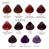 Tinte Para Cabello Hidracolor Naturales 90 Ml + Peróxido Tono